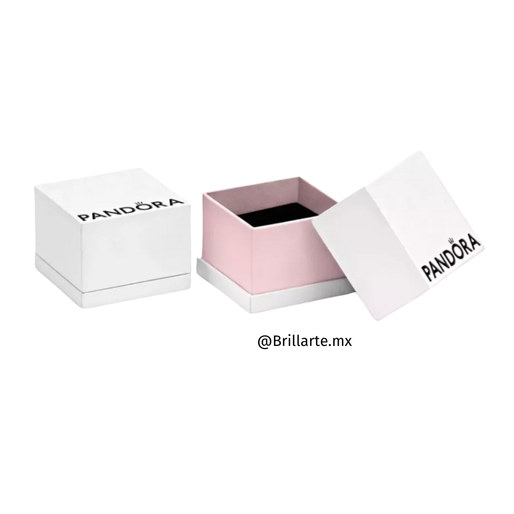 Caja de regalo pequeña