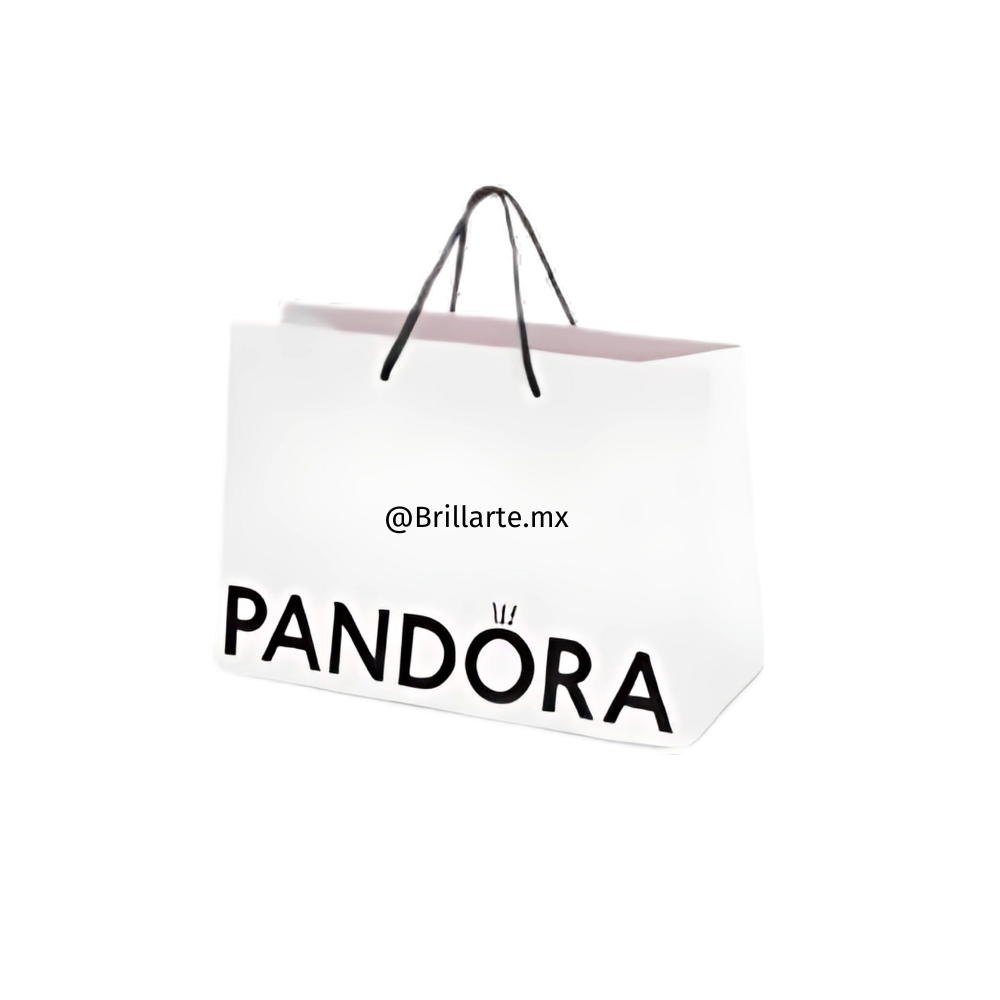 Bolsa de regalo mediana