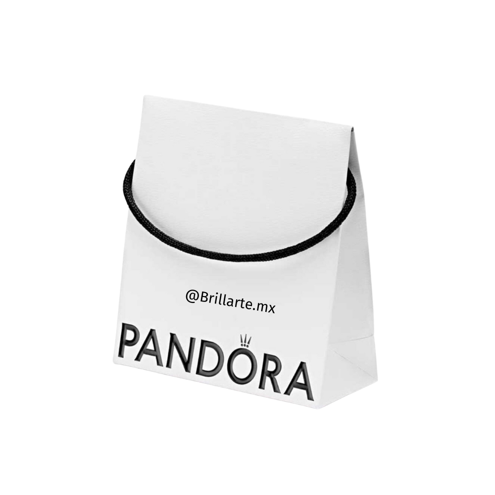 Bolsa de regalo
