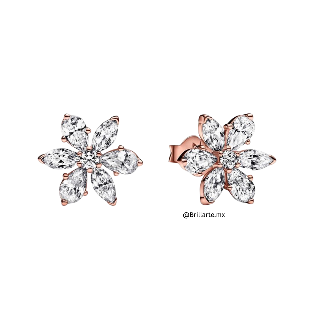 Aretes de botón herbario