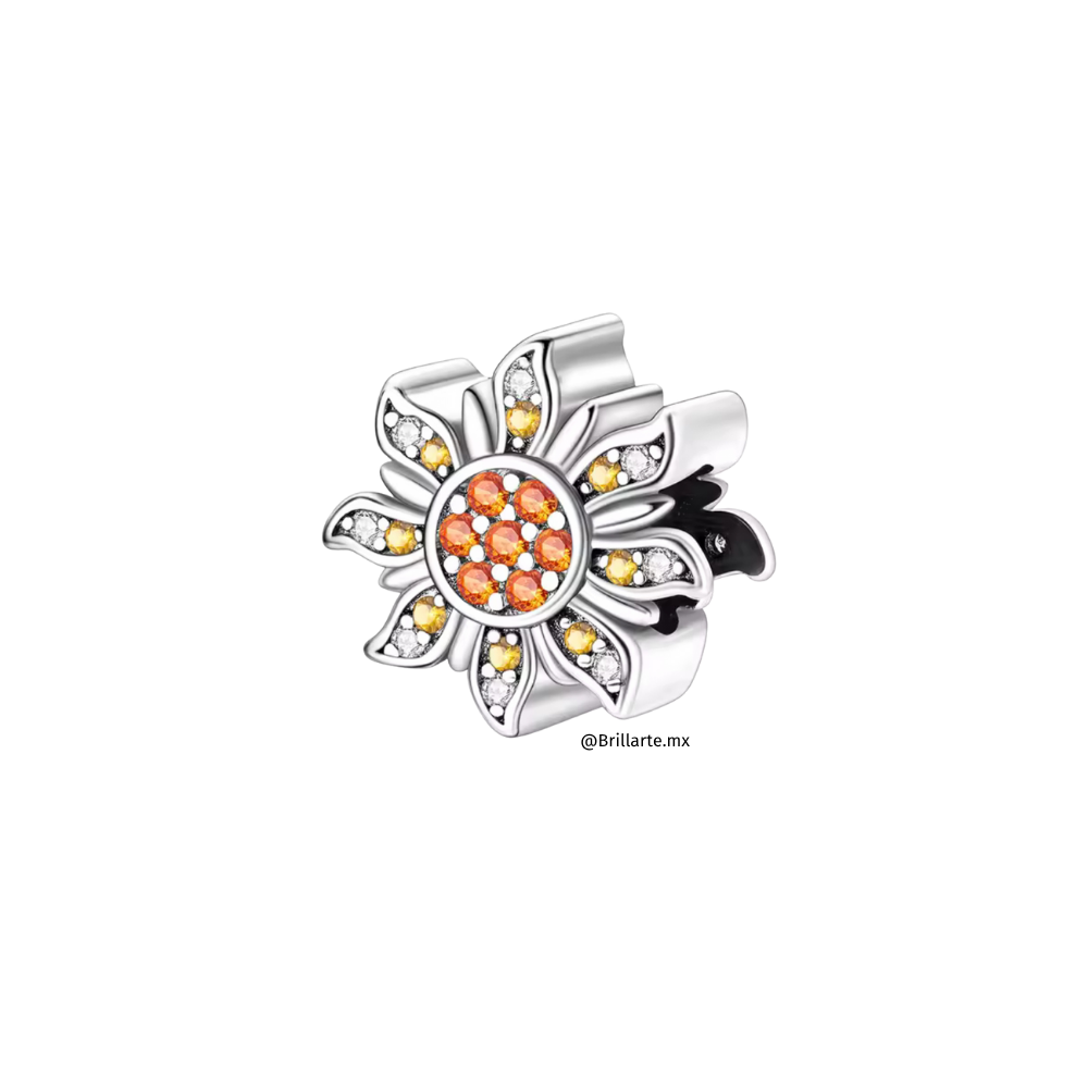 Charm flor