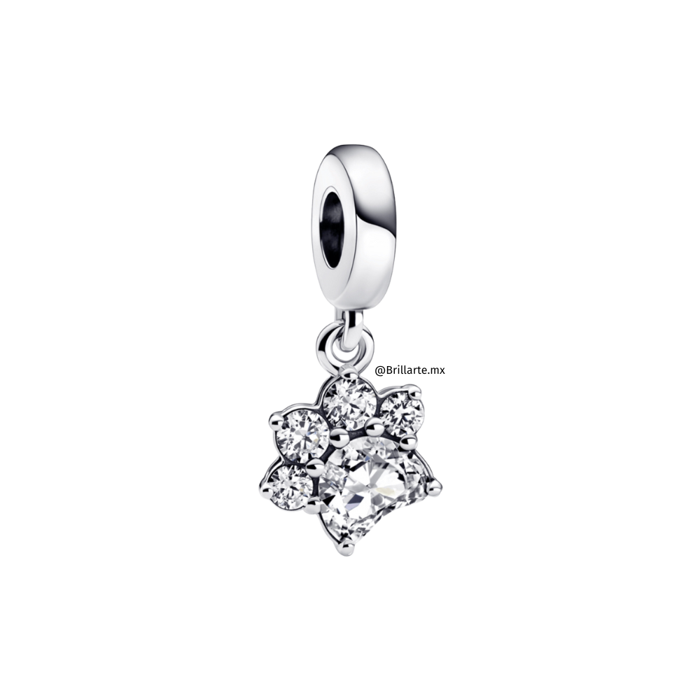 Charm colgante huella perro
