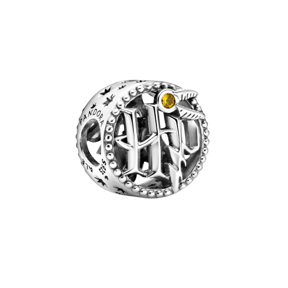 Charm logo Harry Potter