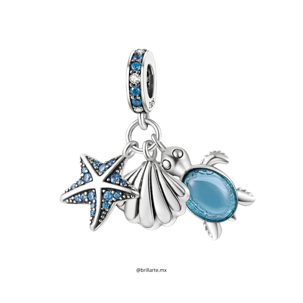 Charm aventura marina