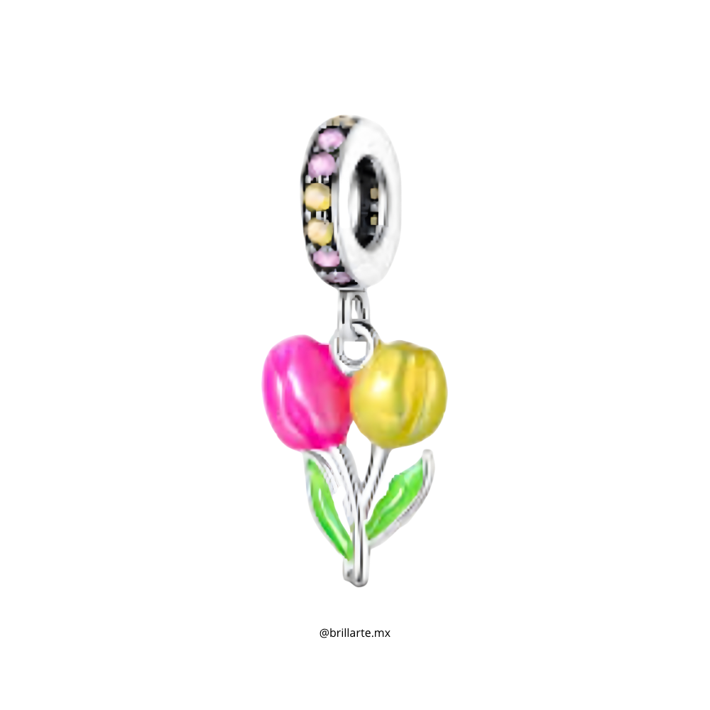 Charm tulipanes