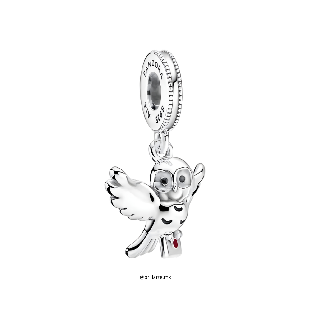 Charm hedwig