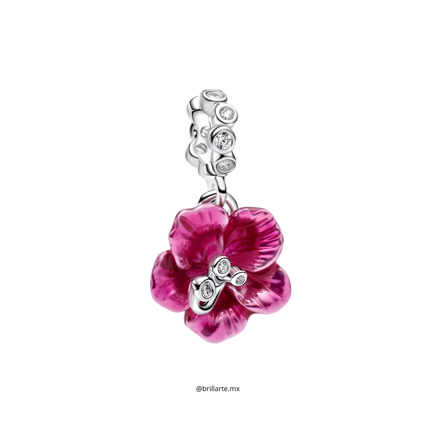 Charm colgante Flor de Jamaica