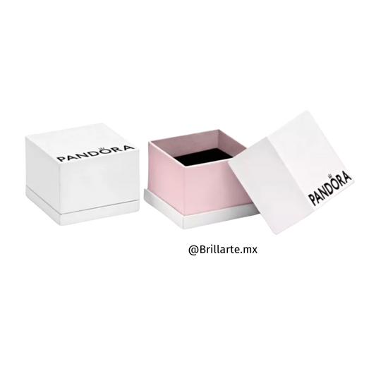 Caja de regalo pequeña