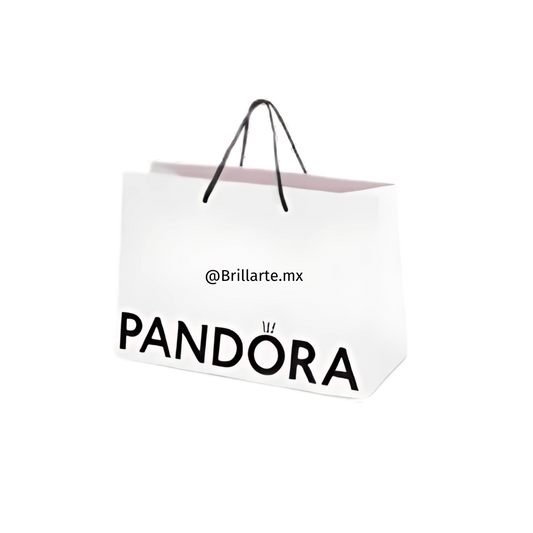 Bolsa de regalo mediana