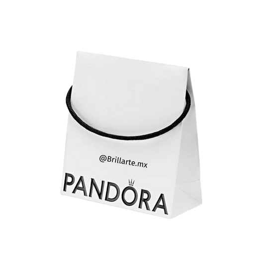 Bolsa de regalo