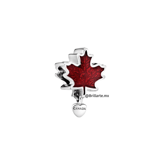 Charm hoja de Arce