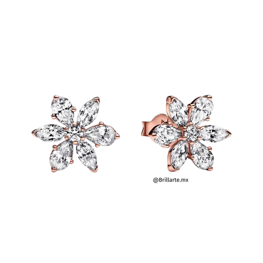 Aretes de botón herbario