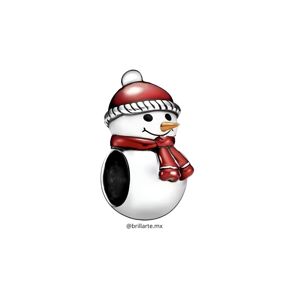 Charm amigo invernal