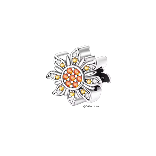Charm flor