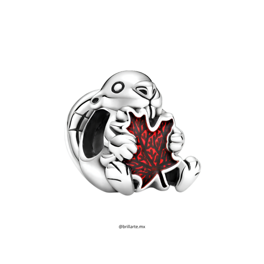 Charm Castor Canadiense