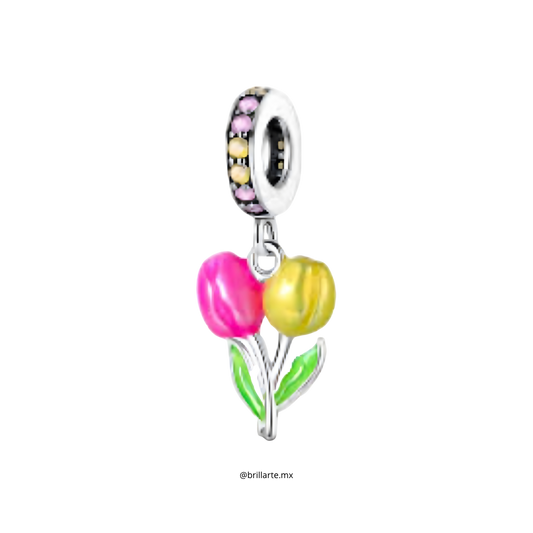 Charm tulipanes