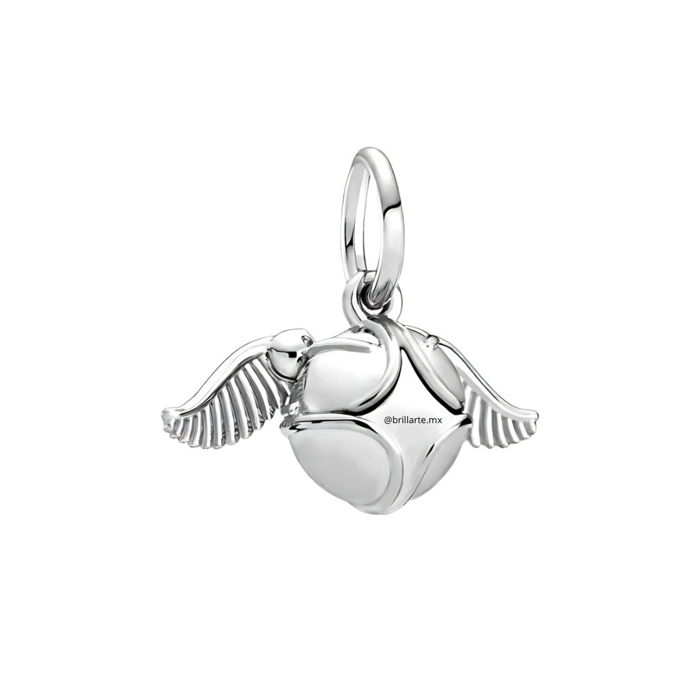 Charm Snitch Harry Potter