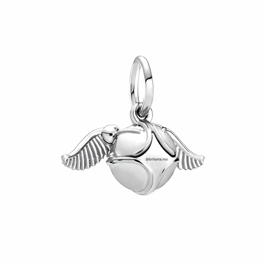 Charm Snitch Harry Potter