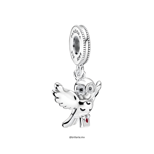 Charm hedwig