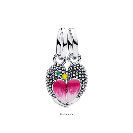 Charm colgante divisible pajaritos