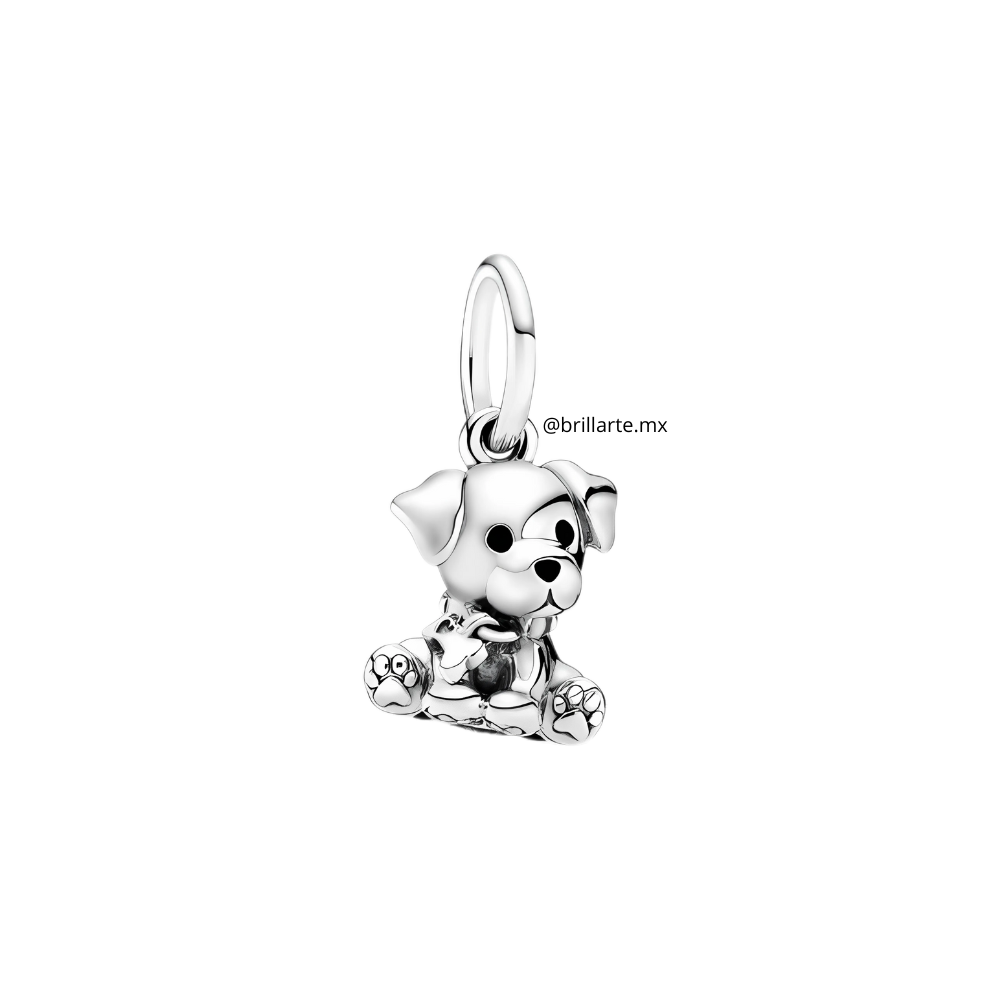 Charm labrador
